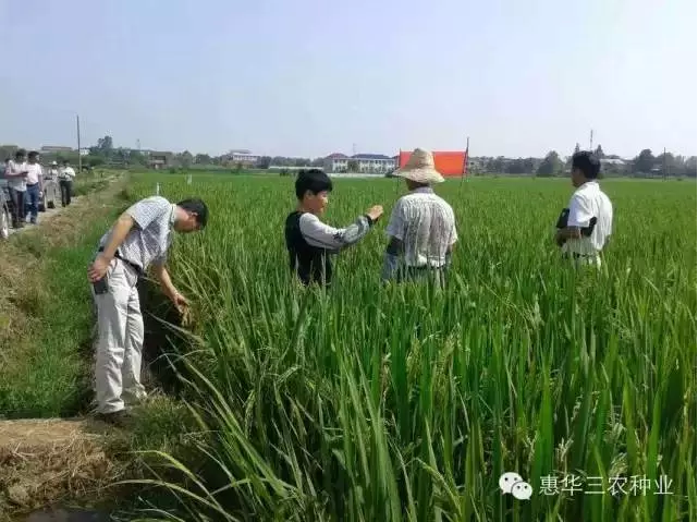 公司新闻