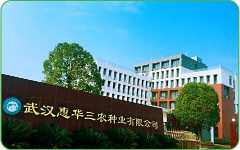金佰利(国际)官方网站入口