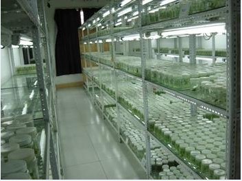 金佰利(国际)官方网站入口