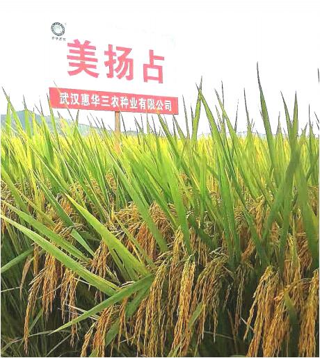 金佰利(国际)官方网站入口