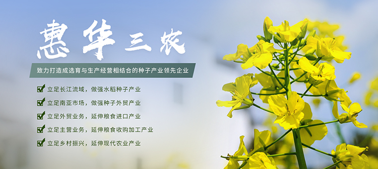 金佰利(国际)官方网站入口
