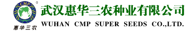 金佰利(国际)官方网站入口