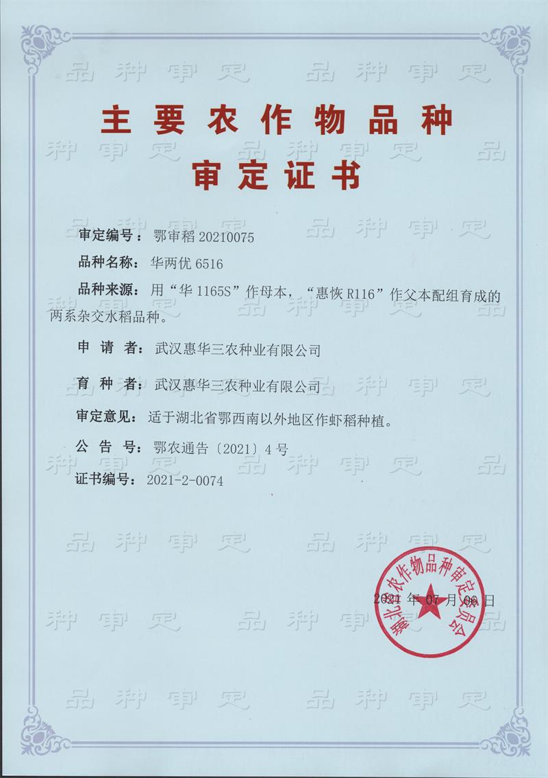 华两优6516