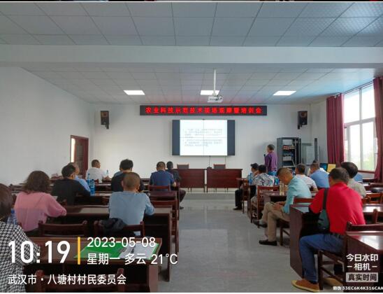 油菜收割季，，，，，丰收喜相望