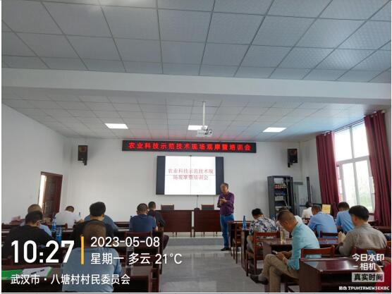 油菜收割季，，，，，丰收喜相望